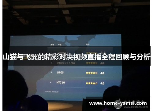 山猫与飞翼的精彩对决视频直播全程回顾与分析